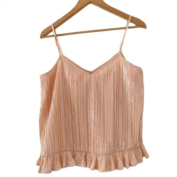 NWT Anthropologie Amelie Blush Beaded Cami sz 2 - Picture 5 of 10